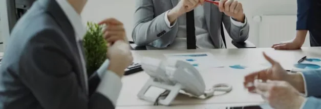 轻量模型与行业小模型